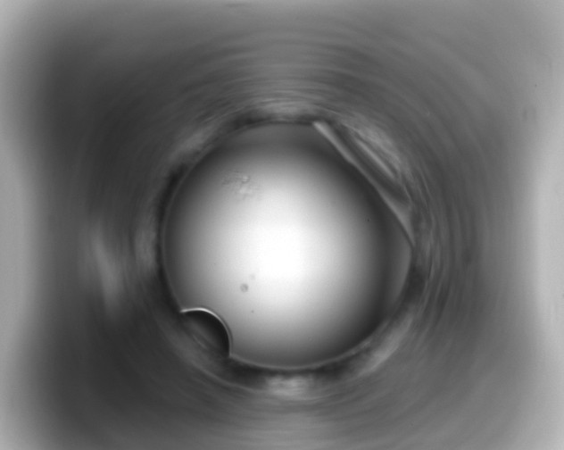 X0000099580450200805231554