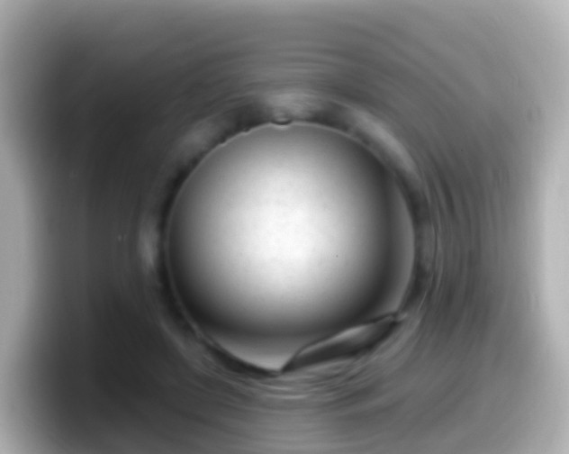 X0000099580451200805231554