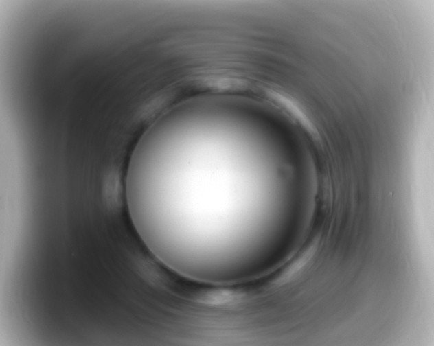 X0000099580453200805231554