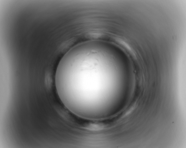 X0000099580455200805231554
