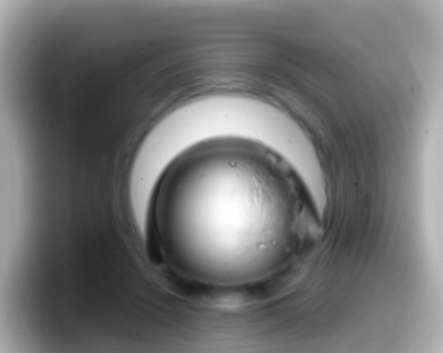 X0000099580456200805231554