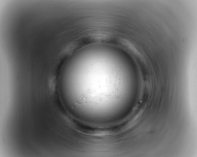 X0000099580458200805231554
