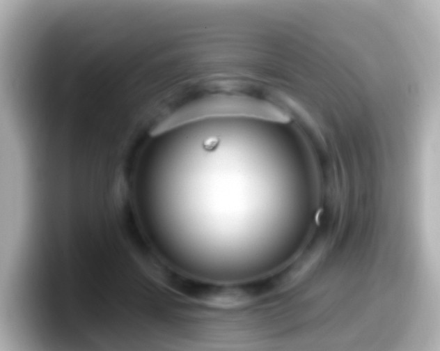 X0000099580459200805231554