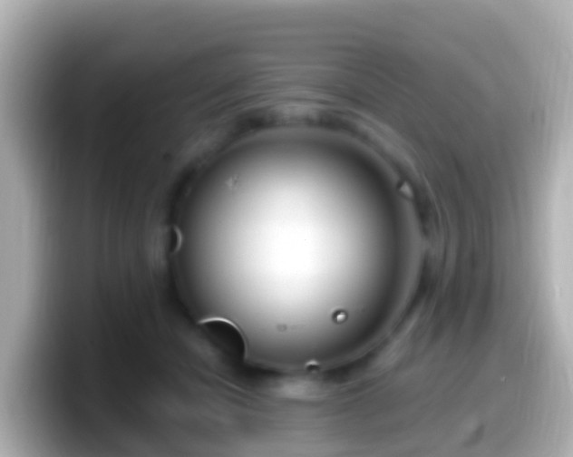 X0000099580462200805231554
