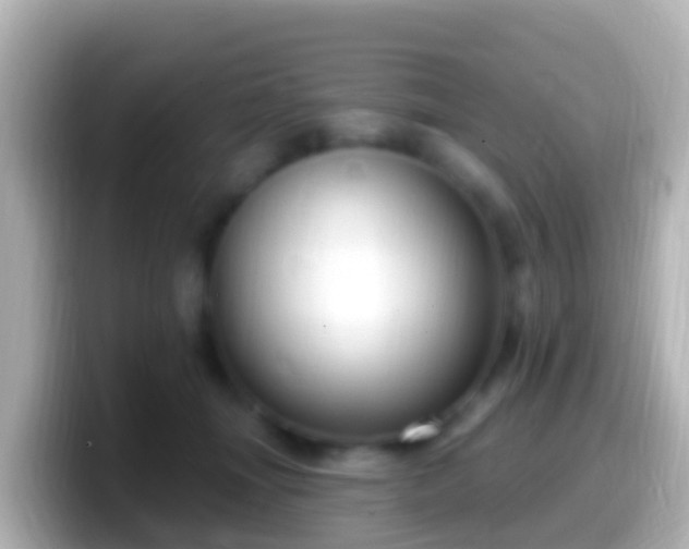 X0000099580463200805231554