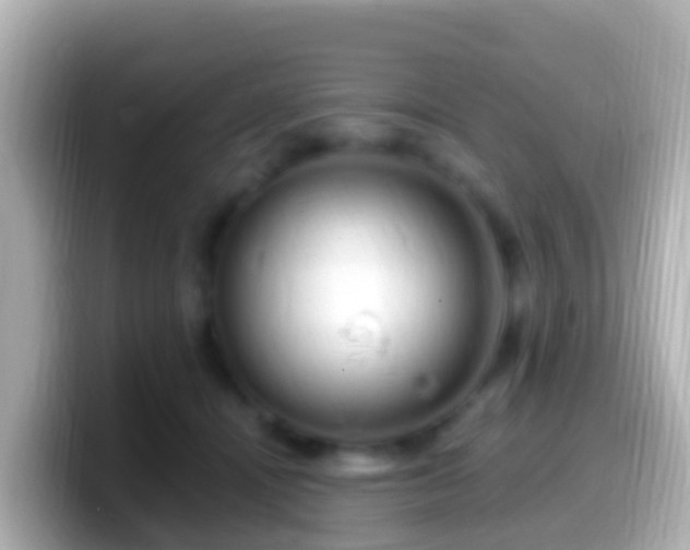 X0000099580464200805231554