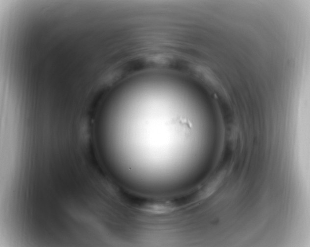 X0000099580466200805231554