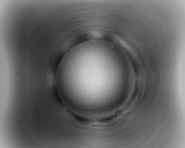 X0000099580467200805231554
