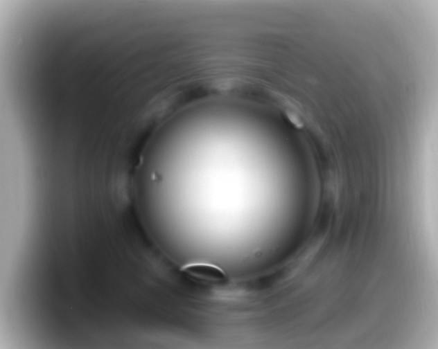 X0000099580470200805231554