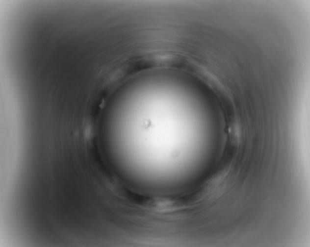 X0000099580472200805231554