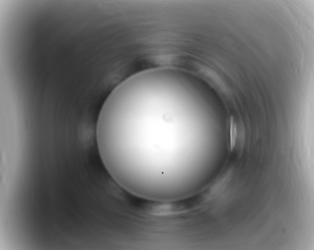 X0000099580473200805231554