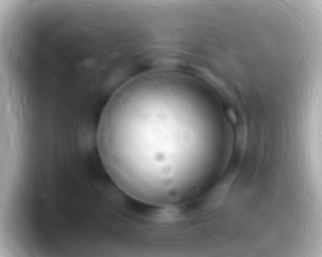X0000099580474200805231554