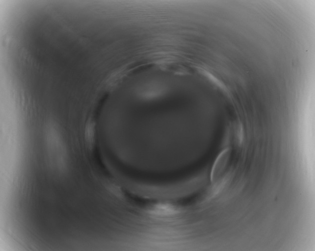 X0000099580475200805231554
