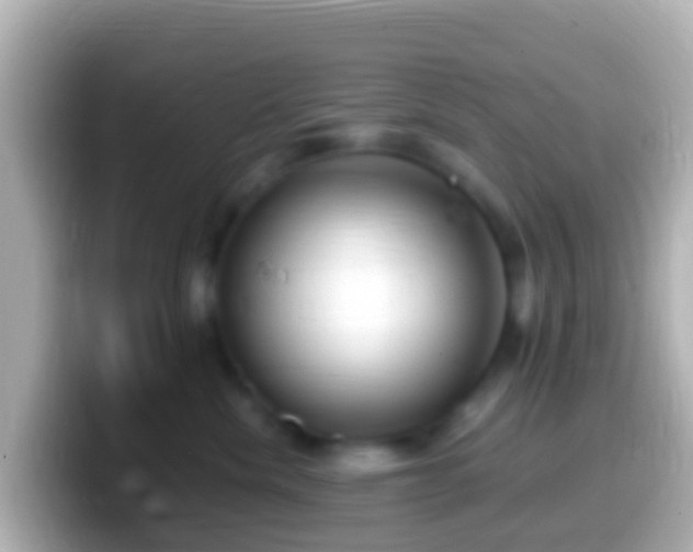 X0000099580476200805231554