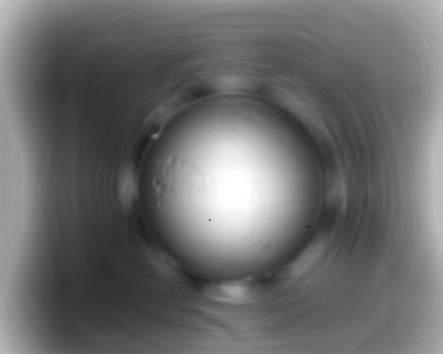 X0000099580478200805231554