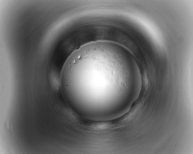 X0000099580479200805231554