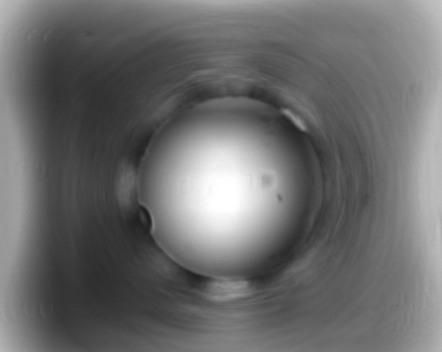 X0000099580480200805231554