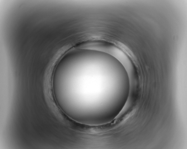 X0000099580481200805231554