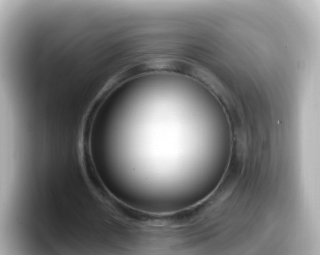X0000099580482200805231554