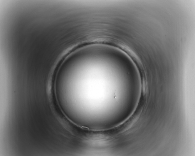X0000099580483200805231553