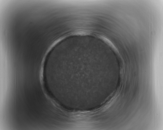 X0000099580484200805231553