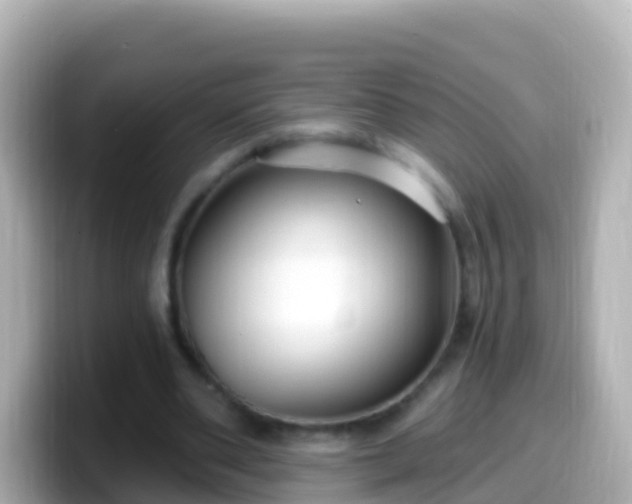 X0000099580486200805231553