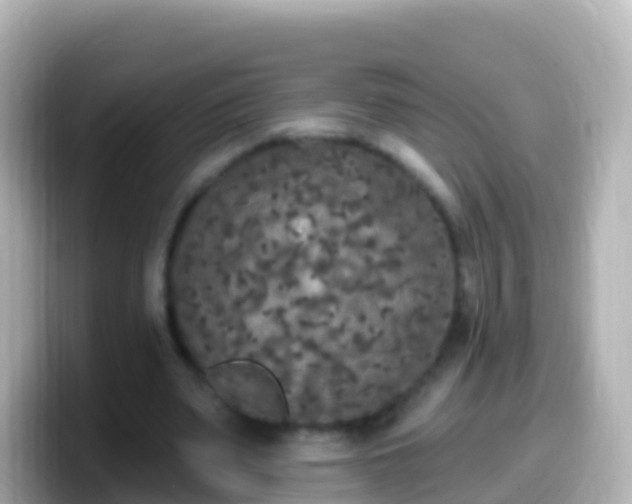 X0000099580487200805231553