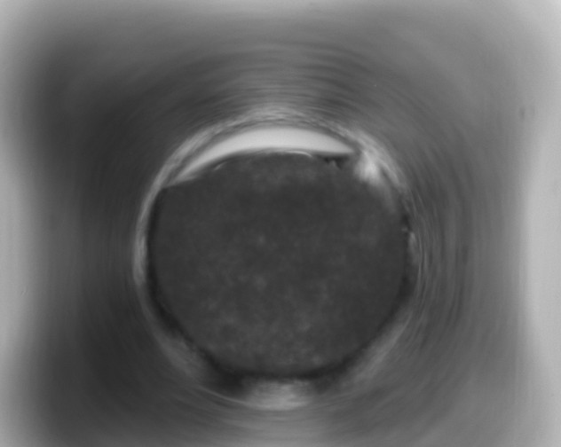 X0000099580488200805231553