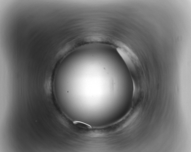 X0000099580489200805231553
