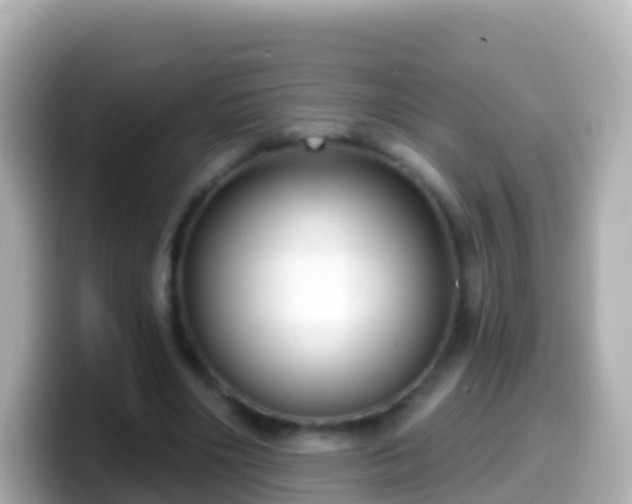 X0000099580490200805231553
