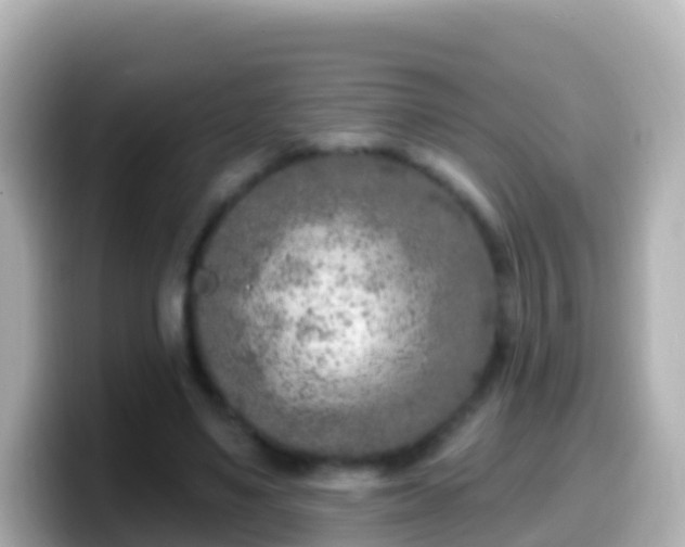 X0000099580491200805231553