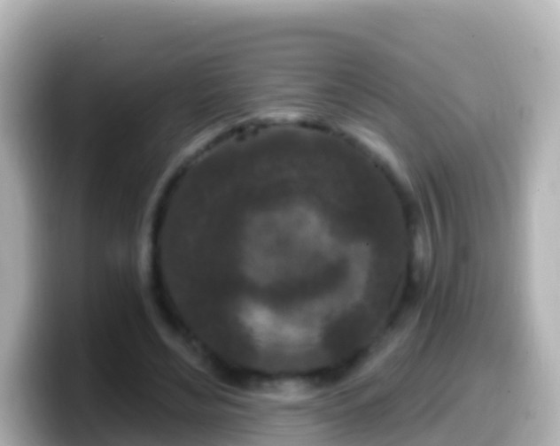 X0000099580492200805231553