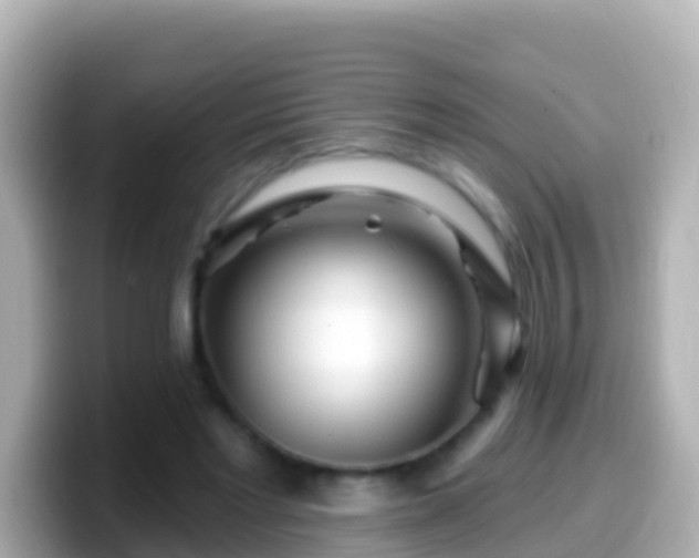 X0000099580493200805231553