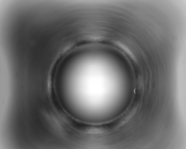 X0000099580494200805231553