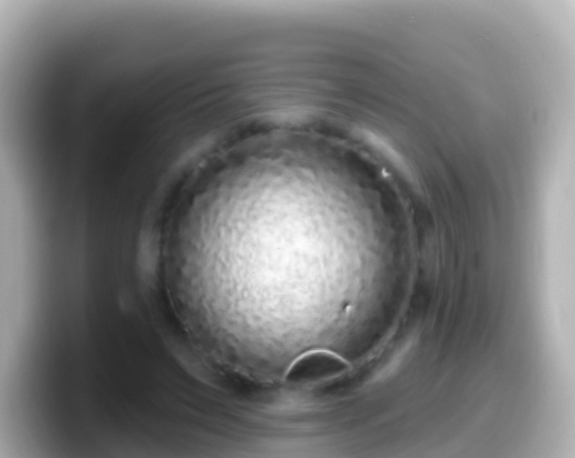 X0000099580495200805231553