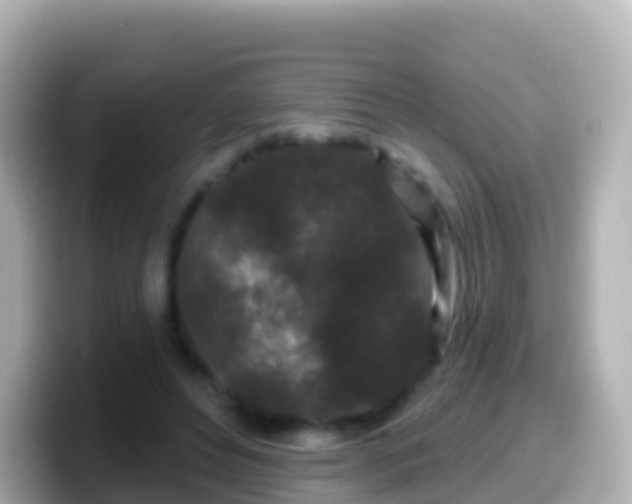 X0000099580496200805231553