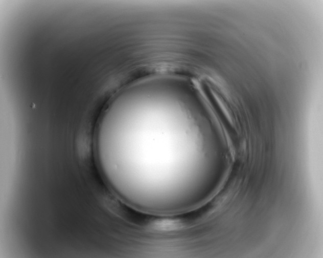 X0000099580499200805231553