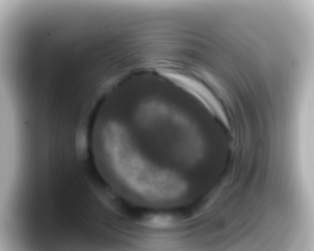 X0000099580500200805231553