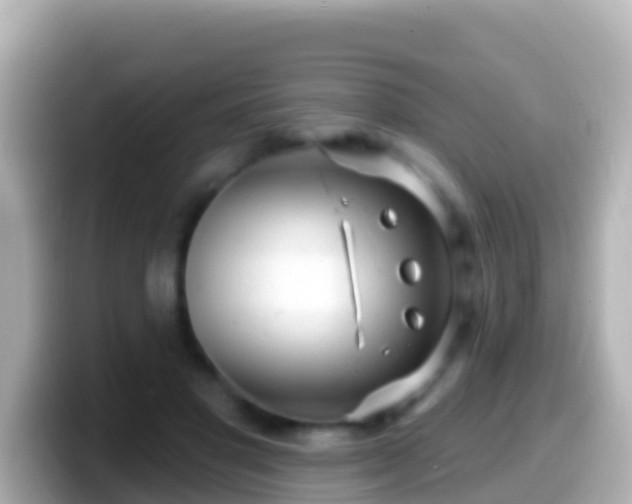 X0000099580501200805231553