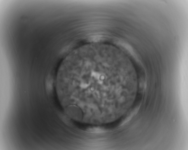 X0000099580503200805231553