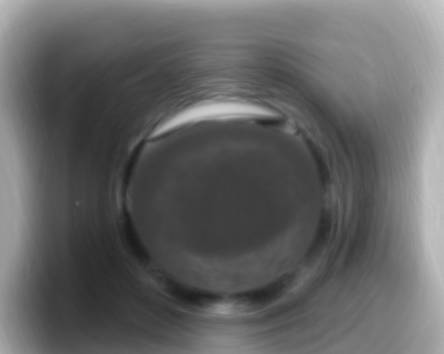 X0000099580504200805231553