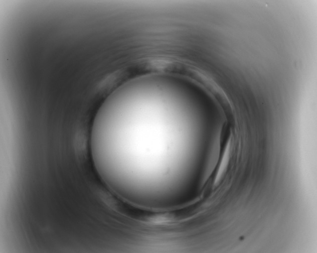 X0000099580505200805231553