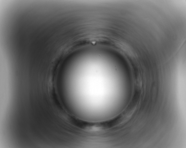 X0000099580506200805231553