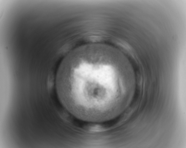 X0000099580507200805231553