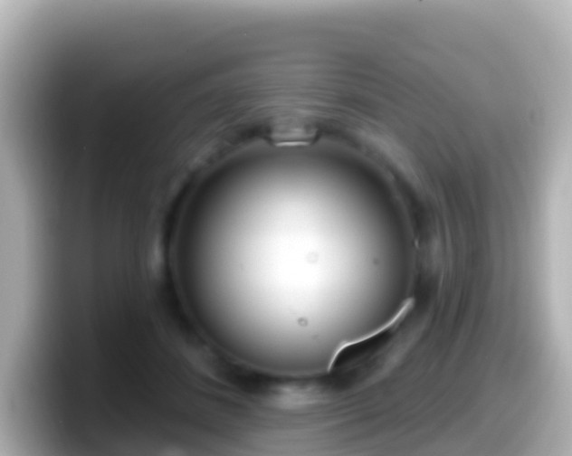 X0000099580508200805231553