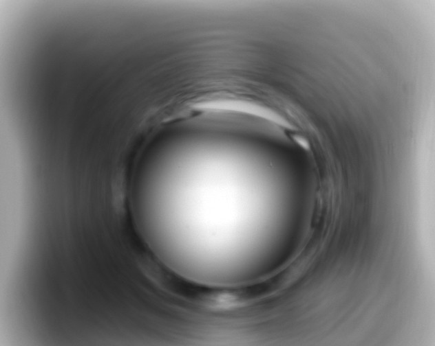 X0000099580509200805231553