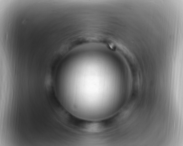 X0000099580513200805231553