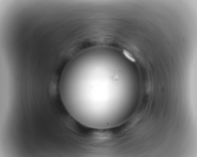 X0000099580515200805231553