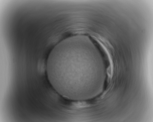 X0000099580517200805231553