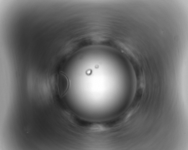 X0000099580519200805231553